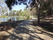 Enlarge photo 20