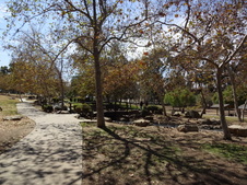 Enlarge photo 21