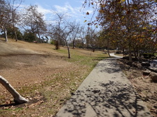 Enlarge photo 25