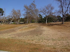 Enlarge photo 30