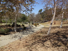 Enlarge photo 32