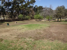 Enlarge photo 33