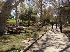 Enlarge photo 16