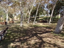 Enlarge photo 20