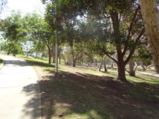 Enlarge photo 23