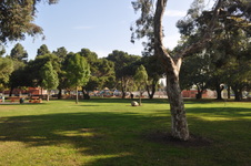 Enlarge photo 1
