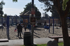 Enlarge photo 23