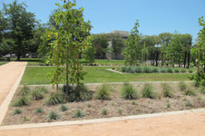 Enlarge photo 35