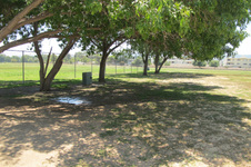 Enlarge photo 24