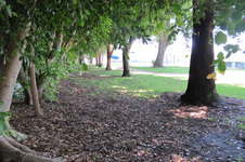 Enlarge photo 25