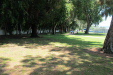 Enlarge photo 26