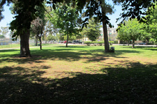 Enlarge photo 23
