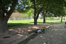 Enlarge photo 30