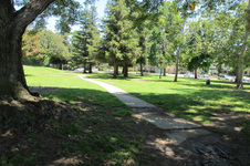 Enlarge photo 31