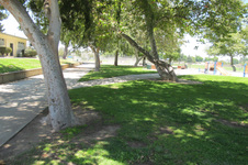 Enlarge photo 28