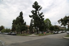 Enlarge photo 35