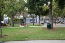 Enlarge photo 32