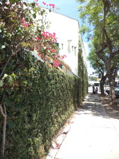 Enlarge photo 26