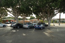 Enlarge photo 37