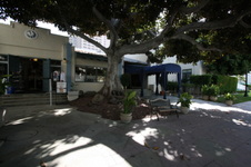 Enlarge photo 7