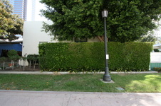 Enlarge photo 16