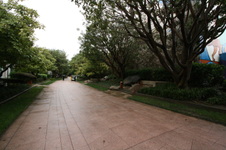 Enlarge photo 17