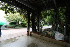 Enlarge photo 24
