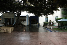 Enlarge photo 28