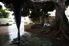Enlarge photo 33