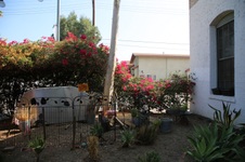 Enlarge photo 20