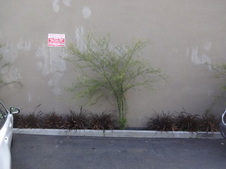 Enlarge photo 62