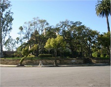 Enlarge photo 48
