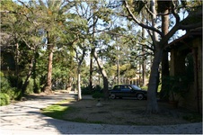 Enlarge photo 45
