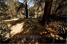 Enlarge photo 32