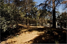 Enlarge photo 33