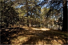 Enlarge photo 34