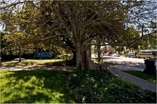 Enlarge photo 35