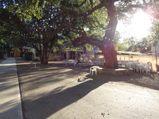 Enlarge photo 13