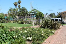 Enlarge photo 64