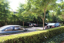 Enlarge photo 62