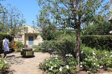 Enlarge photo 61