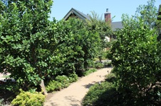 Enlarge photo 59