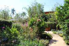 Enlarge photo 60