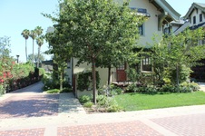 Enlarge photo 33