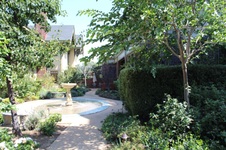 Enlarge photo 54