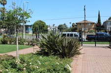 Enlarge photo 55