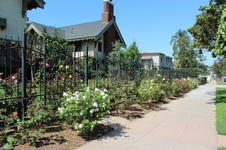 Enlarge photo 52