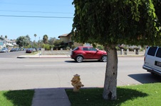 Enlarge photo 49