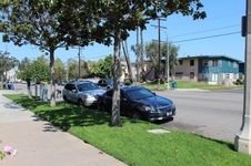 Enlarge photo 46
