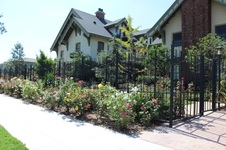 Enlarge photo 41